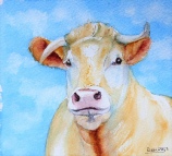 'Blonde Cow'  by Barbara King watercolour painting