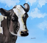 'Cock an Ear' Friesian cow  by Barbara King watercolour painting