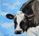 'Curious' Friesian cow by Barbara King watercolour painting